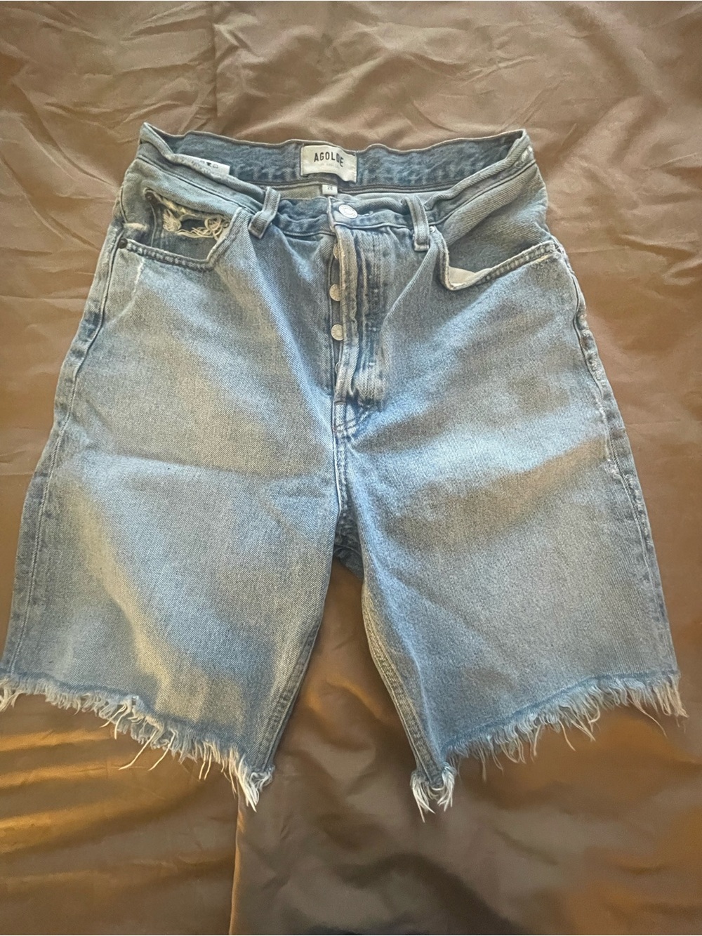 Agolde Light Blue High-Rise Button-Fly Denim Shorts
